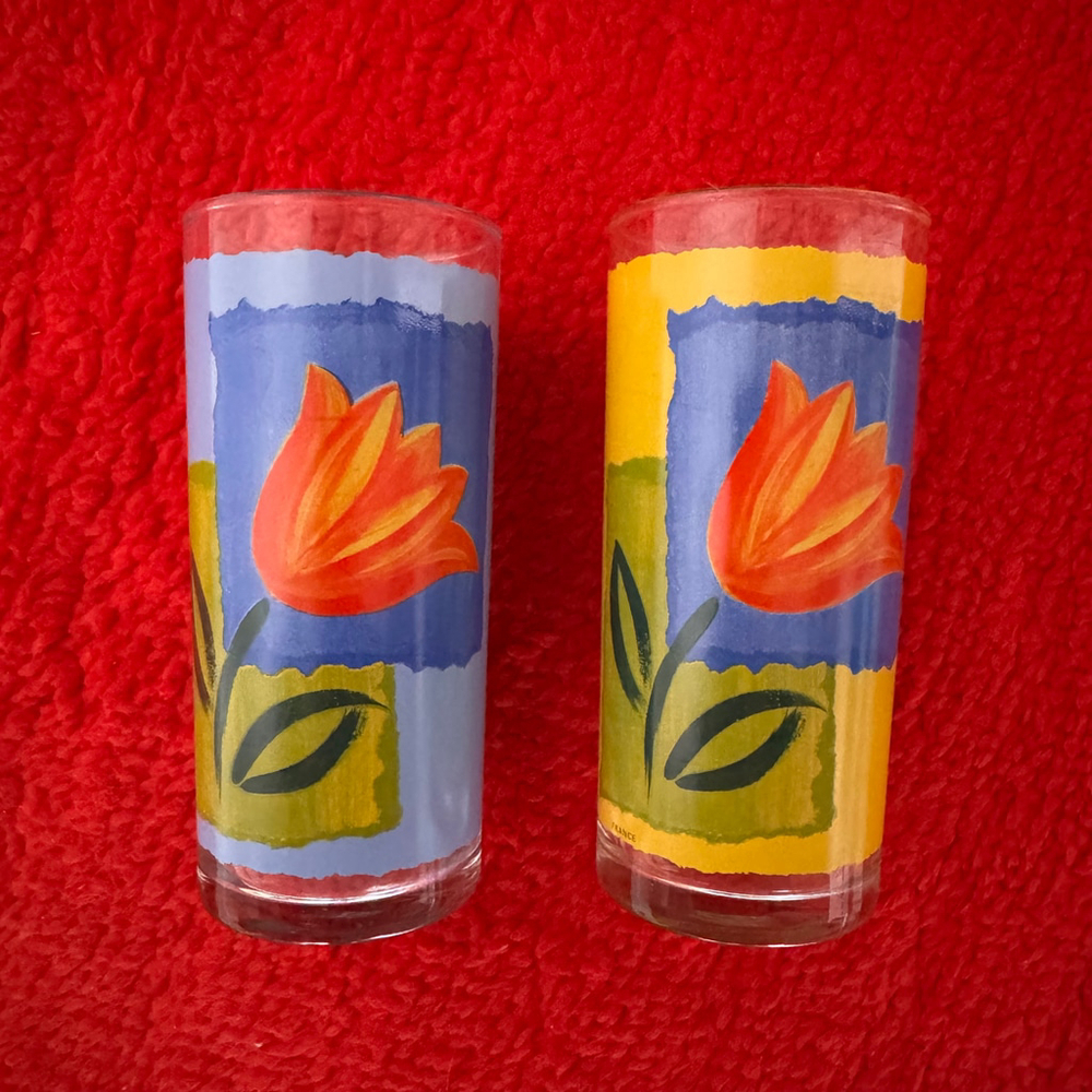 Cheerful Vintage Arcoroc Tulip-Print Glass Tumblers, Made in France, Set of 2